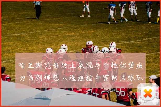 哈里斯凭借场上表现与个性优势成为马刺理想人选经验丰富助力球队发展