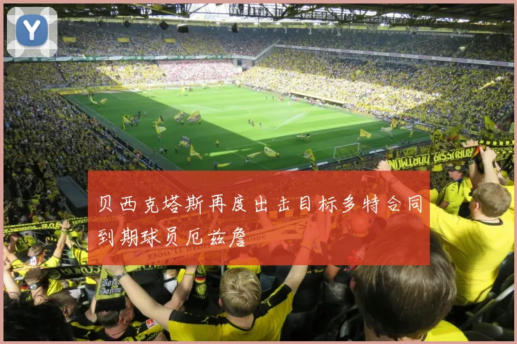 贝西克塔斯再度出击目标多特合同到期球员厄兹詹